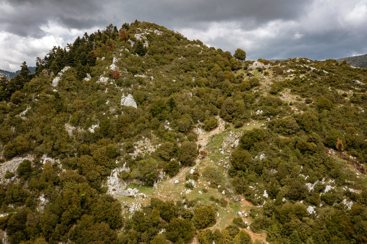 Amarkiano Cave 12