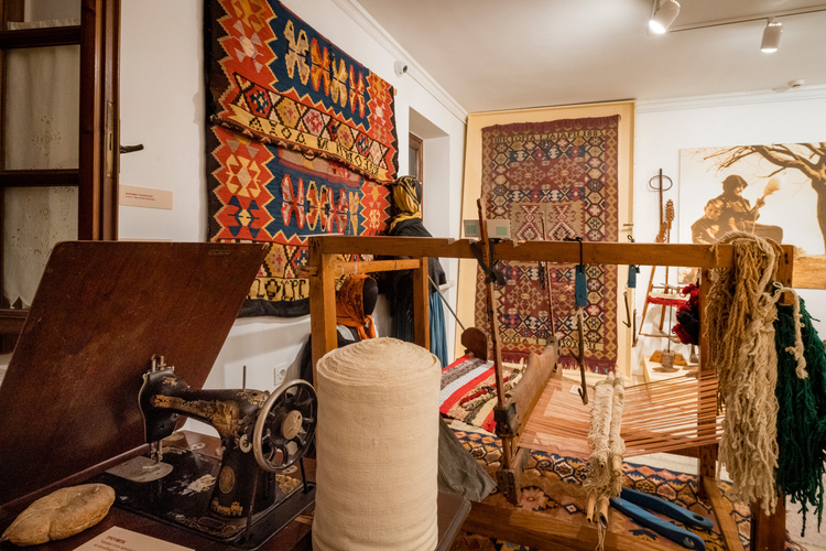 Μουσείο Νέας Φιγαλείας 19