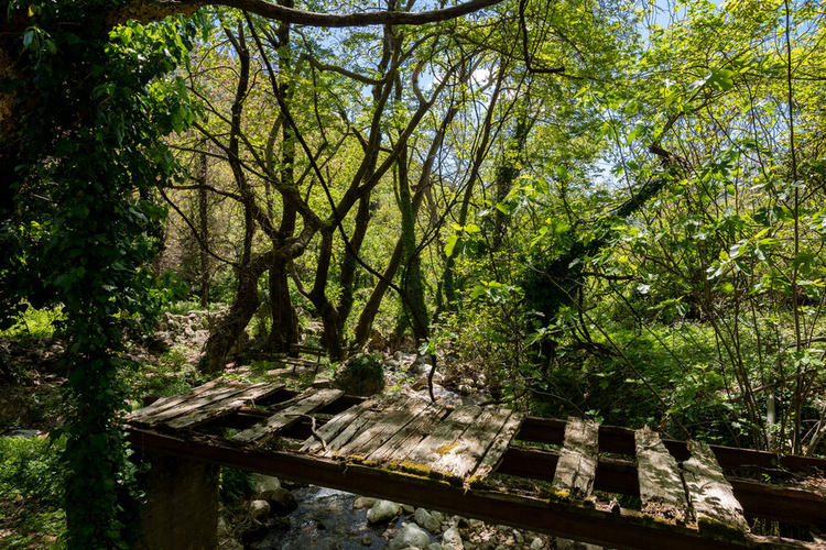 palios_neromylos_-_nerotribi_papazafeiri_-_oreini_...