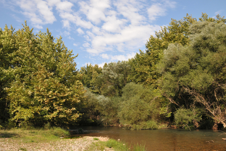 potamos_ladona_1.jpg
