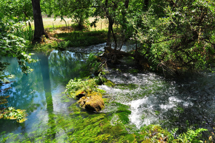 potamos_ladona_4.jpg