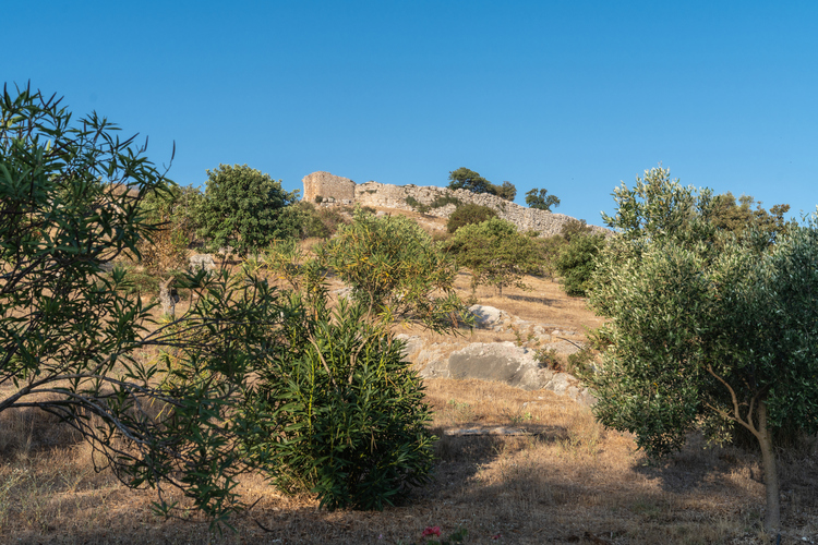 teihos_dymaion_2.jpg
