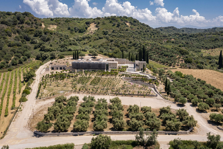 Archaeological Museum of Elis 12