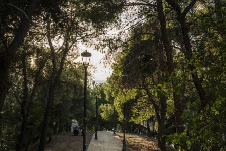 _dasyllio_patras_8.jpg