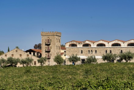 achaia_clauss_5.jpg