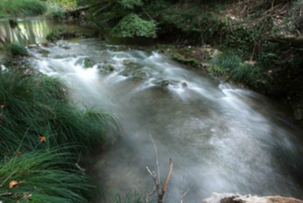 potamos_ladona_7.jpg